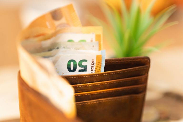 Close-up of a wallet with euro notes and a green plant in the background.